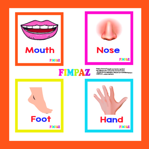 Lee más sobre el artículo TARJETAS PARTES DEL CUERPO PARA IMPRIMIR