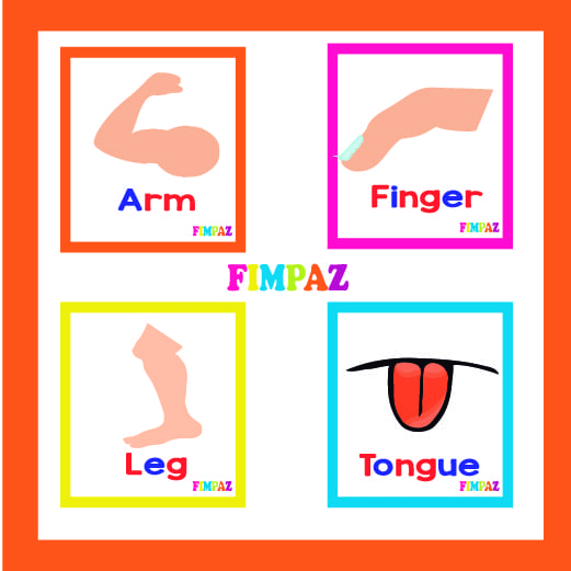 TARJETAS PARTES DEL CUERPO PARA IMPRIMIR