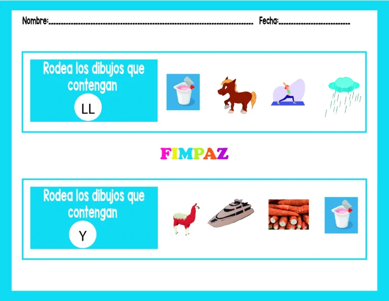 PALABRAS CON LL Y Y
